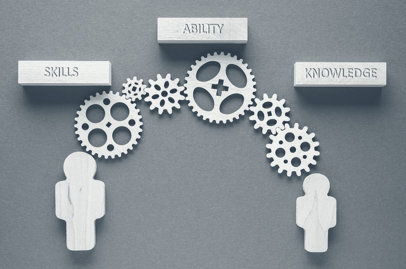 Interlocking gears linking skills, ability and knowledge